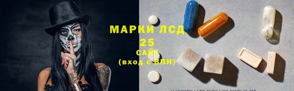 Альфа ПВП Аркадак