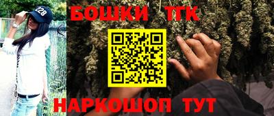 индика Дубна