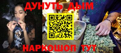 индика Дубна