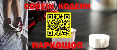 индика Дубна