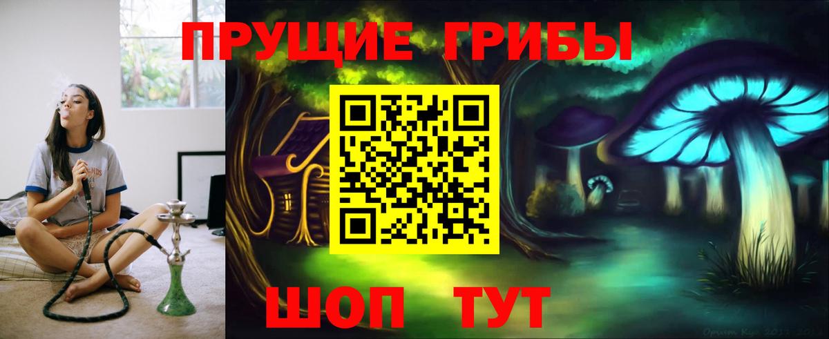 Псилоцибиновые грибы GOLDEN TEACHER Рыбинск
